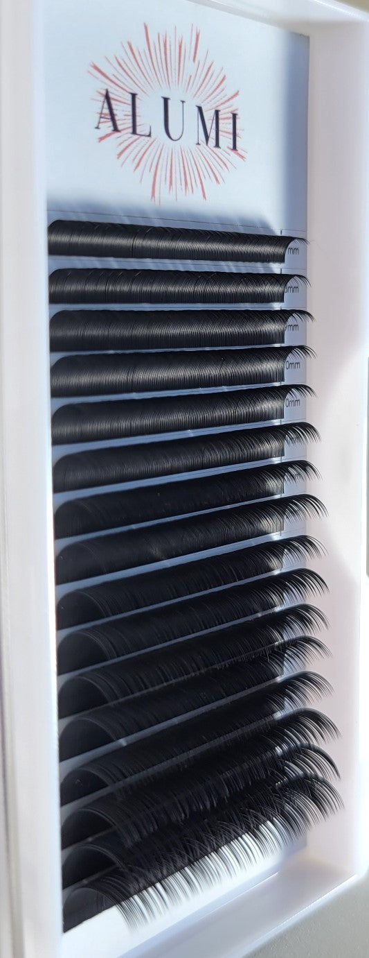 D Curl Lashes