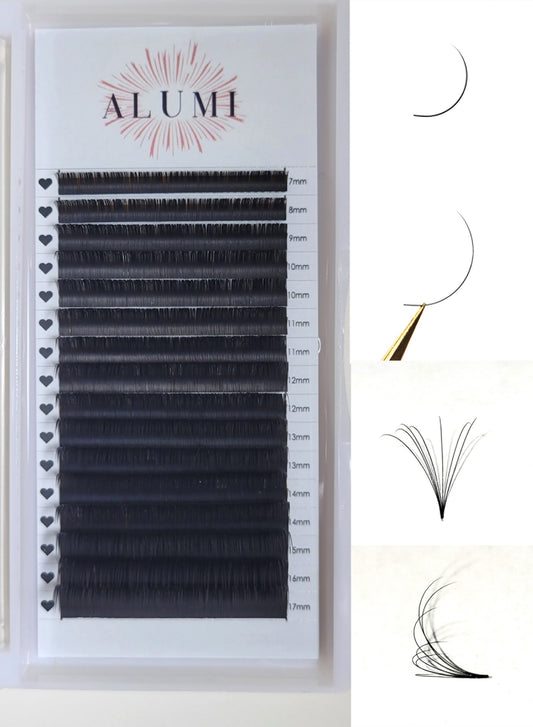 D Curl Lashes