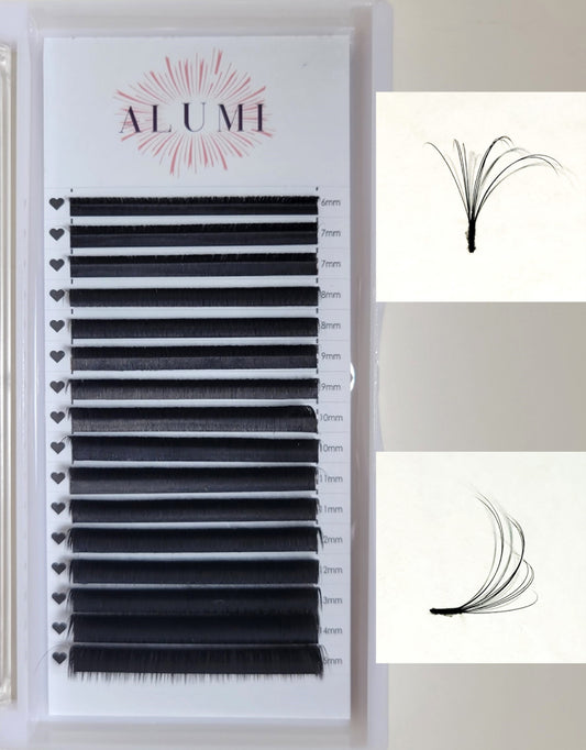 LC Curl Lashes