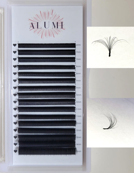 LD Curl Lashes
